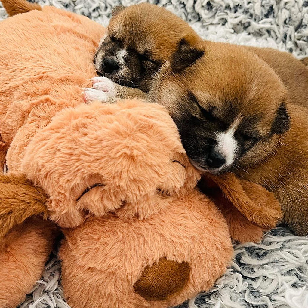 Snuggle Puppy Original Heartbeat Puppy Toy with Real-Feel Pulse & Heat Pack, Calming Sleep Aid for Puppy Anxiety, Crate Training, First Nights & New Puppy Transition - Biscuit