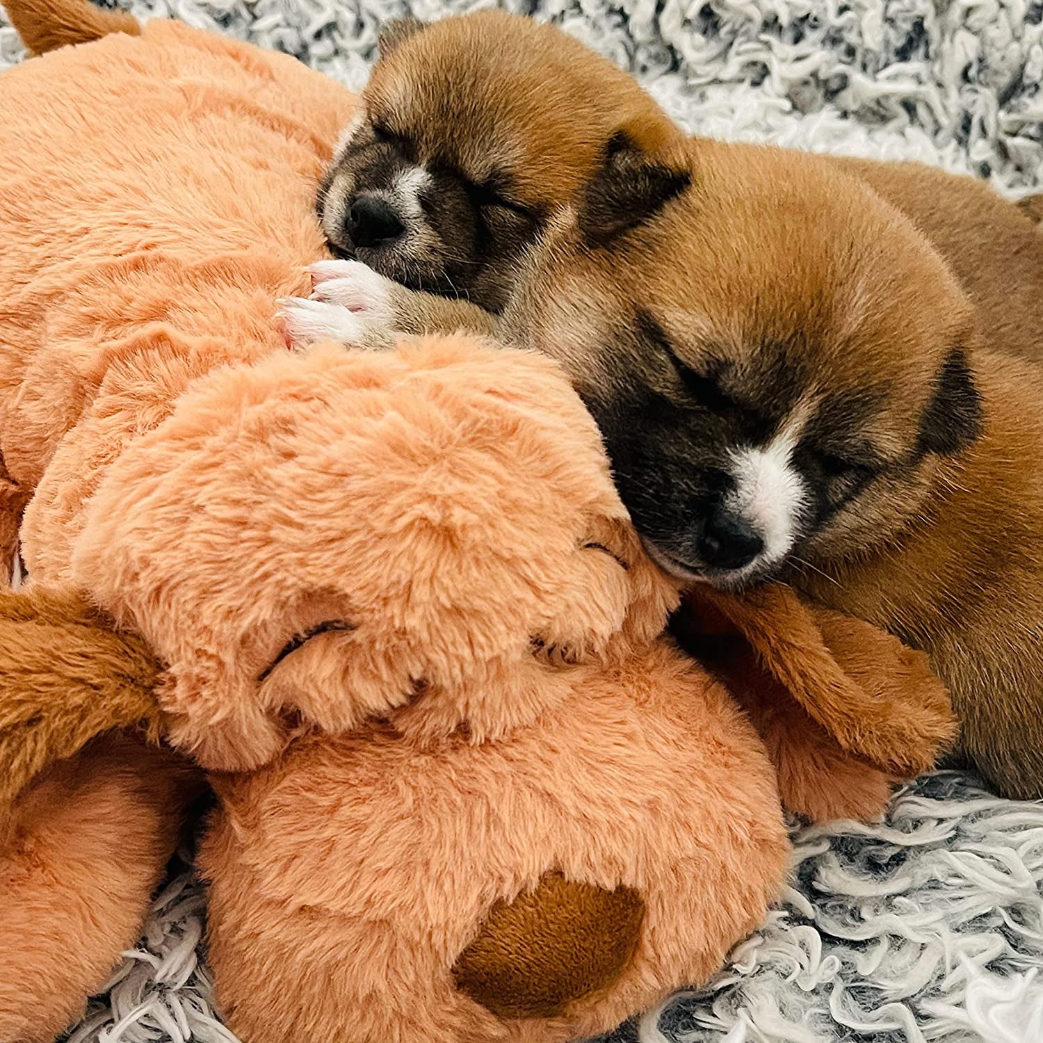 Snuggle Puppy Original Heartbeat Puppy Toy with Real-Feel Pulse & Heat Pack, Calming Sleep Aid for Puppy Anxiety, Crate Training, First Nights & New Puppy Transition - Biscuit