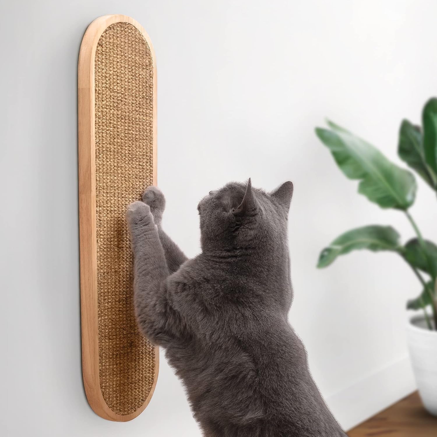 Indoor Cat Wall Scratcher — Multidirectional Sisal Scratch Pad & Board for Furniture Protection, Space-Saving Wall or Floor Use, Solid Rubberwood, All Breeds (Natural)